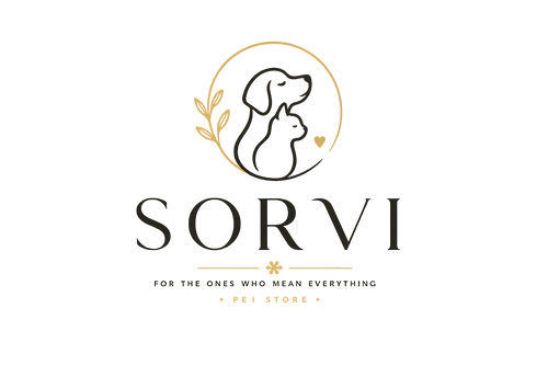 sorvi