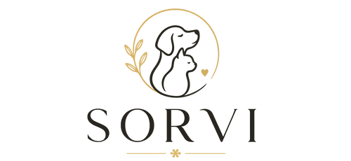 sorvi